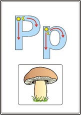 Druck-Nord-P.pdf